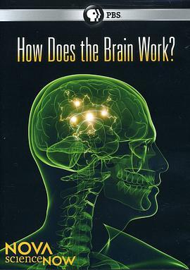 PBS新星今日科学系列大脑的奥秘