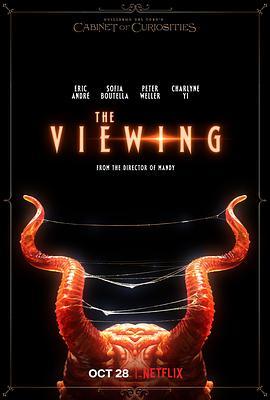 TheViewing