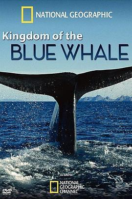 蓝鲸王国