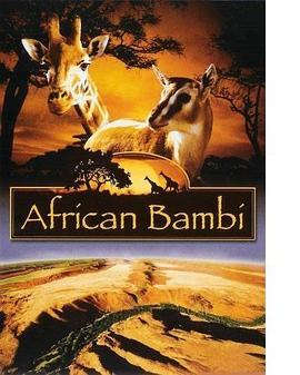 AfricanBambi