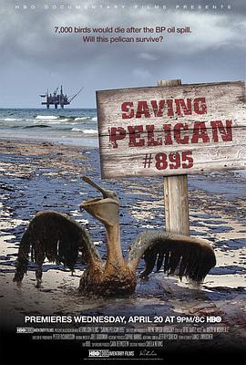 SavingPelican895