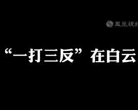 “一打三反”在白云